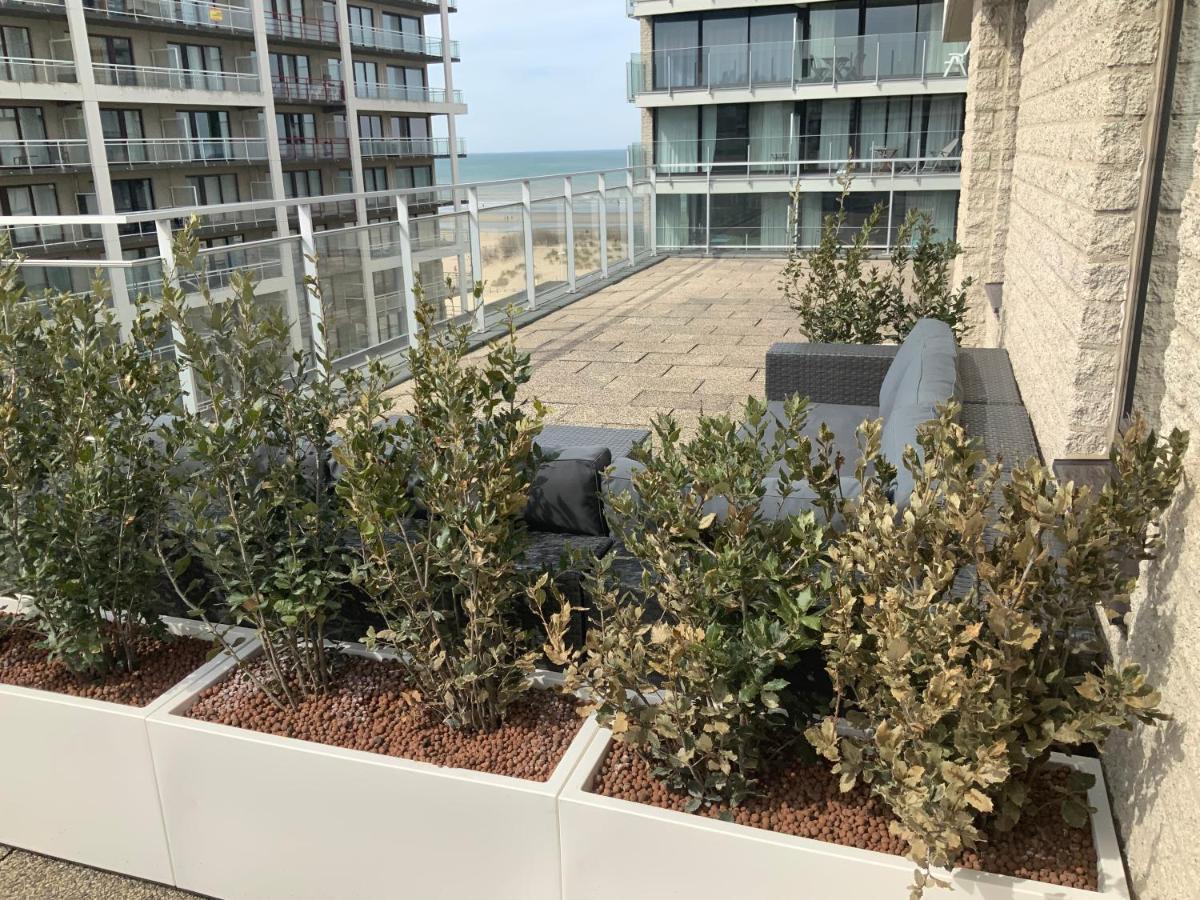드판 Sea View Penthouse 아파트 외부 사진